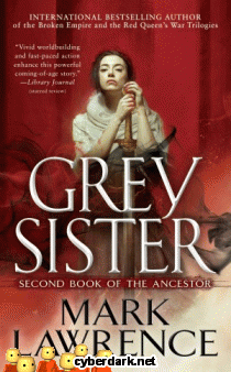 Grey Sister / Book of the Ancestor 2